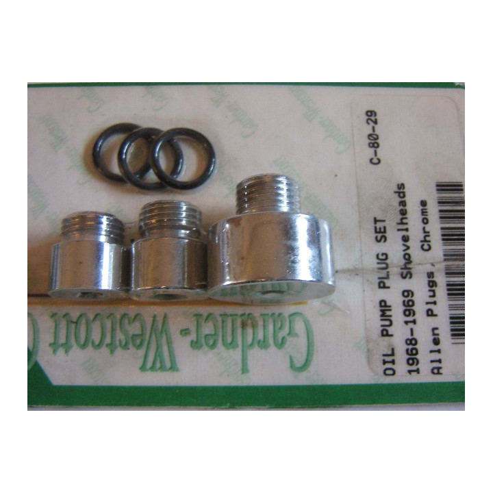 oil pump plug set.